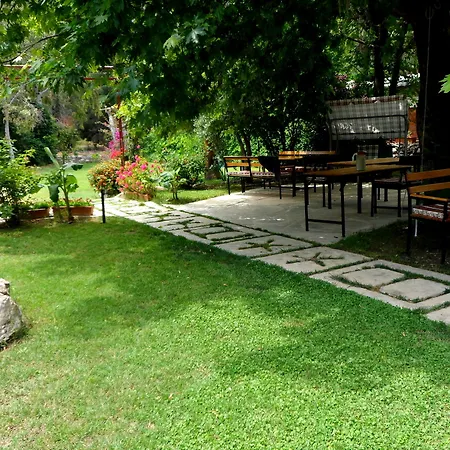 게스트하우스 Arya Çıralı