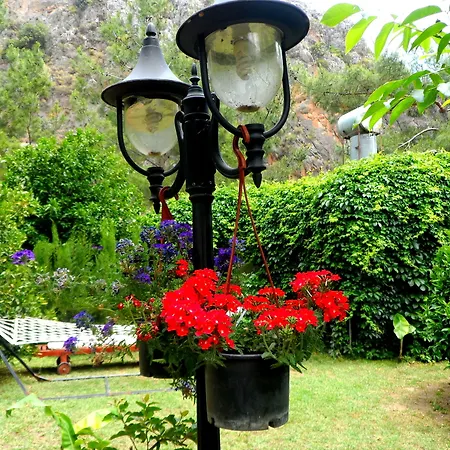 Arya 게스트하우스 Çıralı