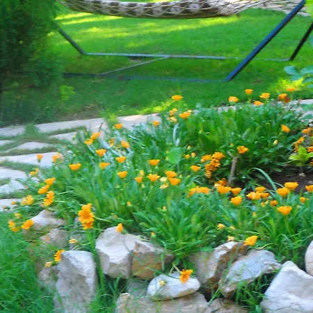 Arya 게스트하우스 Çıralı