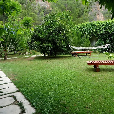 Arya Pensionat Çıralı