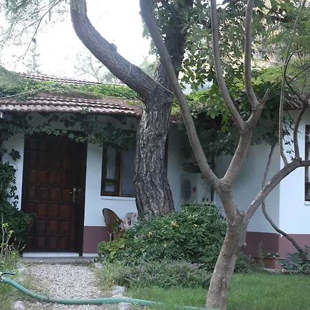 Arya 게스트하우스