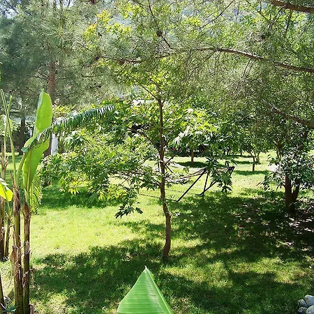 Gasthof Arya Çıralı