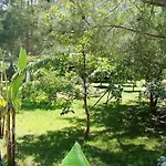 Casa de hóspedes Arya Çıralı