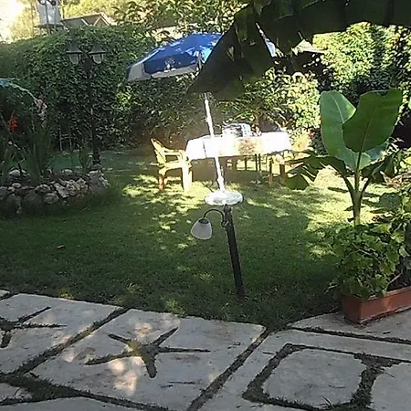 Pensiune Arya