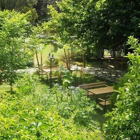 Arya Guest house 3*